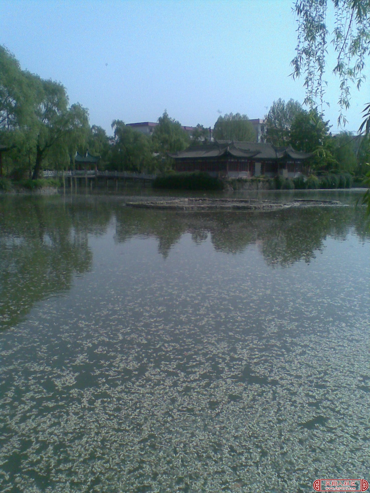 20110426_010.jpg